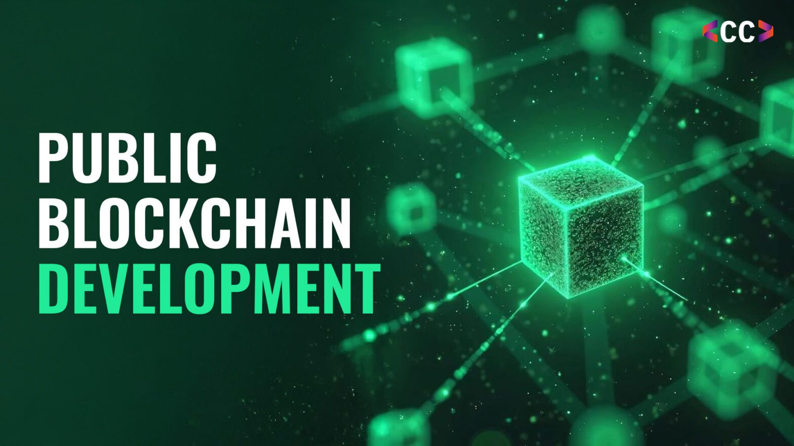 Public Blockchain Development
